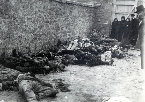 Культивация геноцита